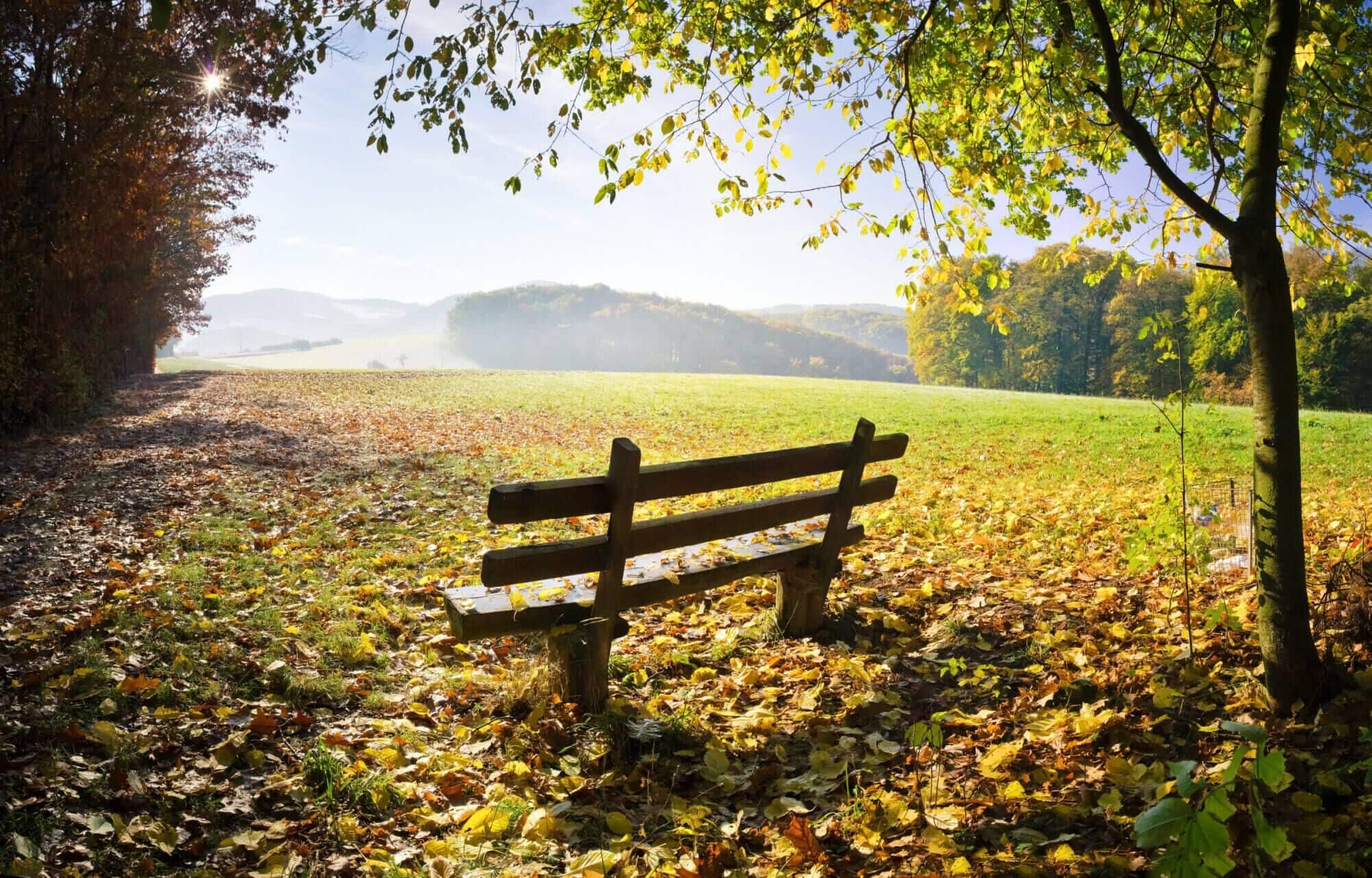 Fotolia_46518263_L (1)